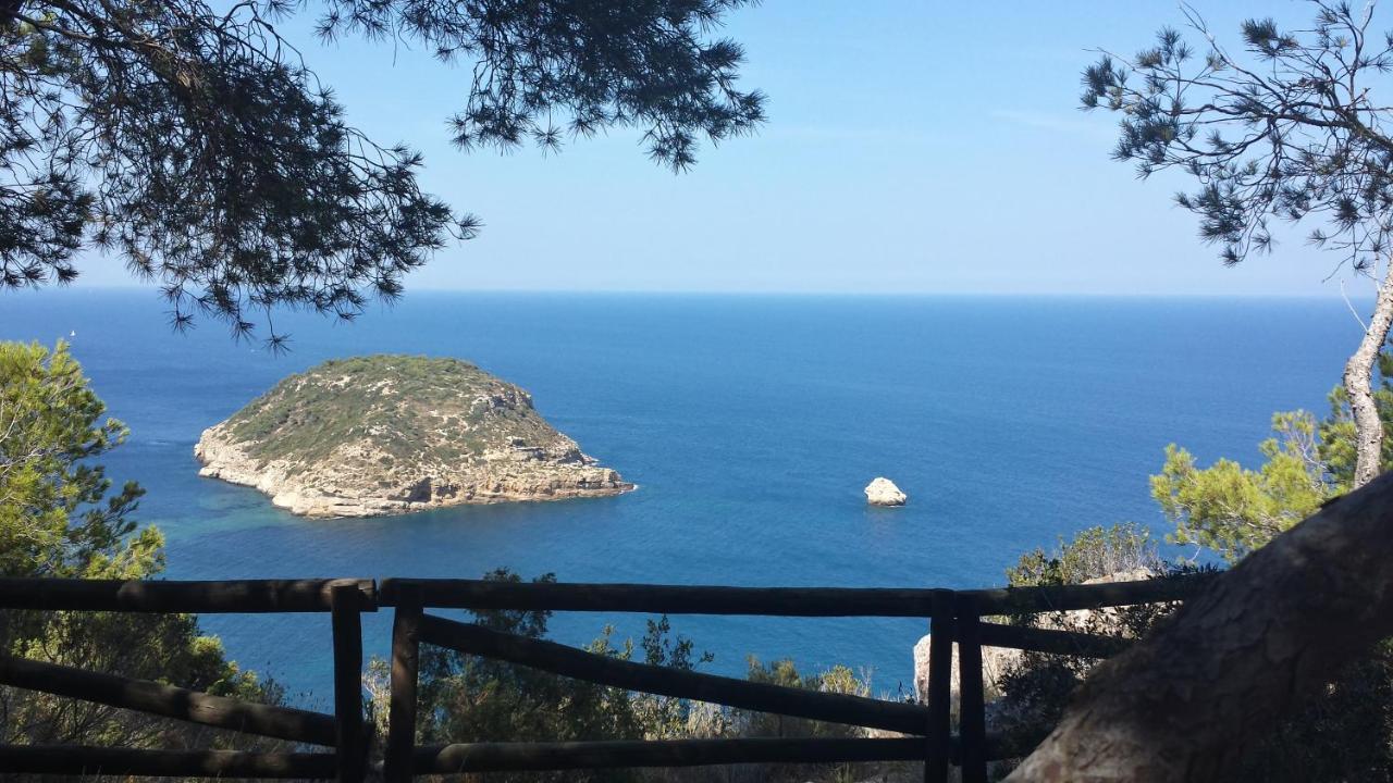 Javea Golden Beach 1 Arenal Beach Eksteriør bilde